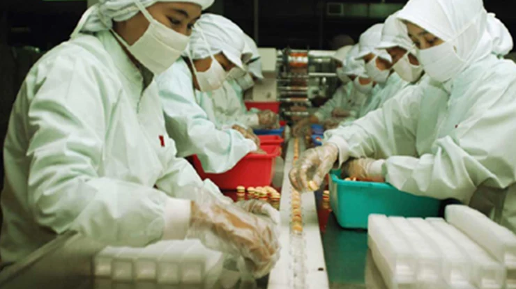 Mengapa Bekerja di PT Yupi Indo Jelly Gum Menarik